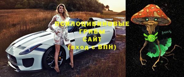 герыч Богородск